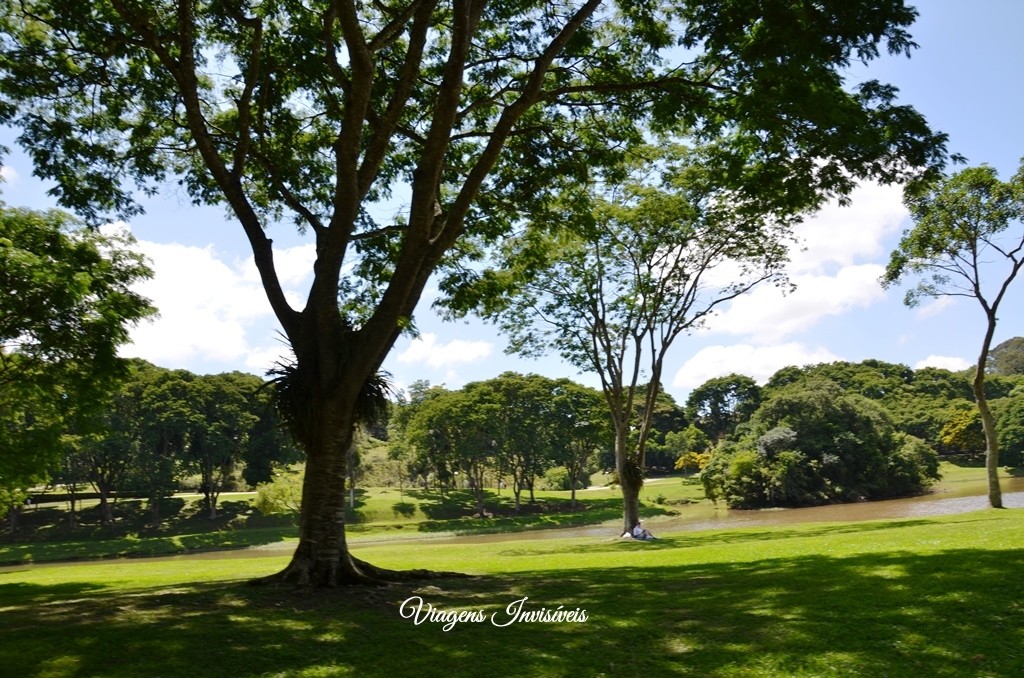 O verde do Parque São Lourenço