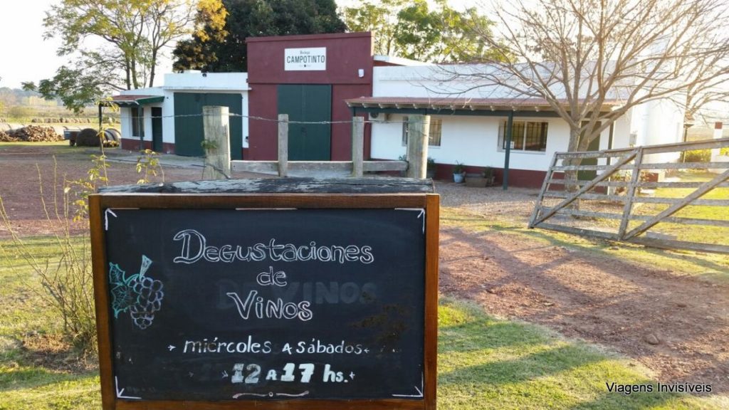 bodega, vinícola Campotinto, Carmelo, Uruguai