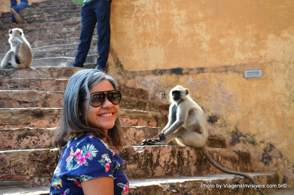 Amigo de longas datas, Amber Forte, Jaipur, Índia