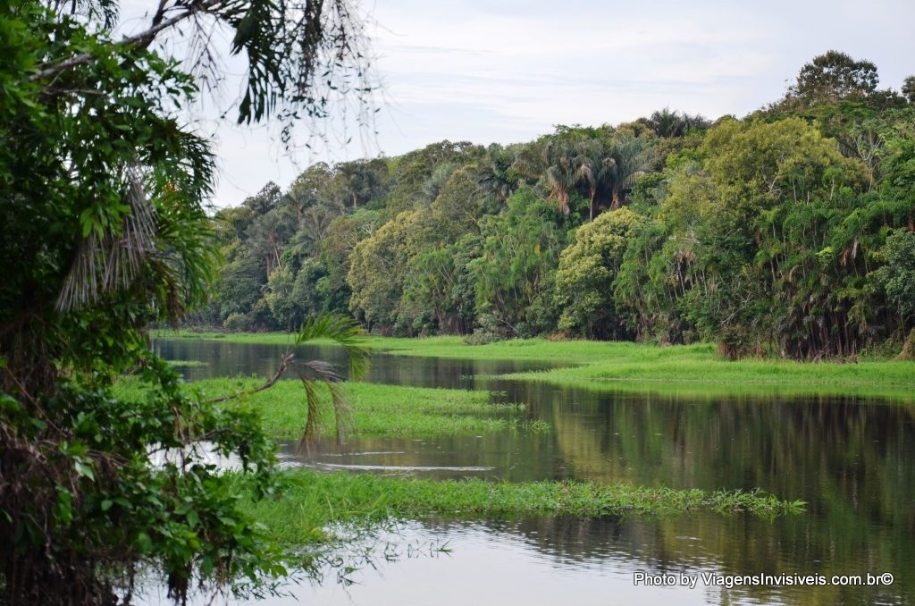 Natureza, Amazonas