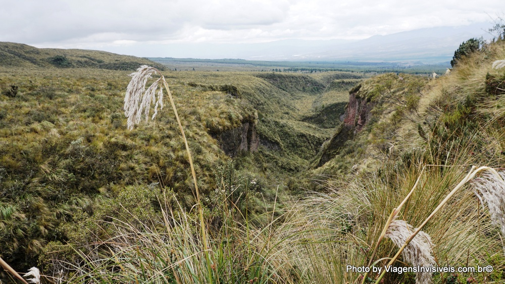 Os cânios do Parque Cotopaxi