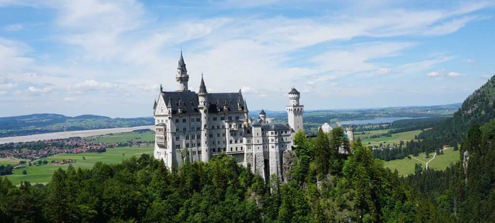 O castelo da cinderela, Neusch